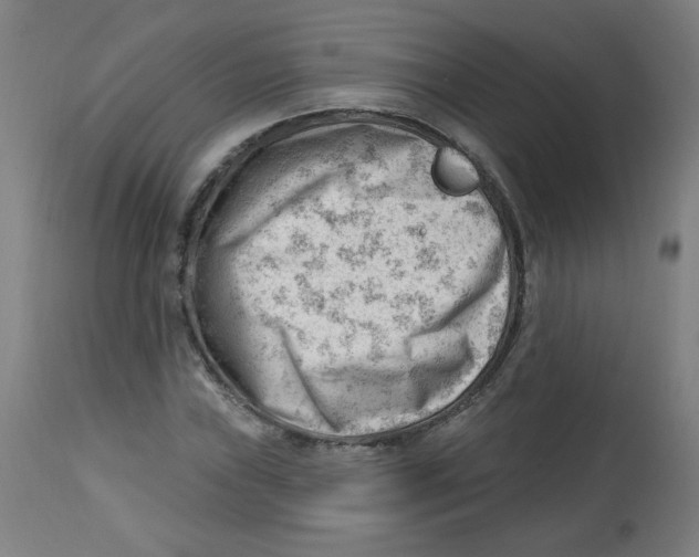 X0000112741019200909171156