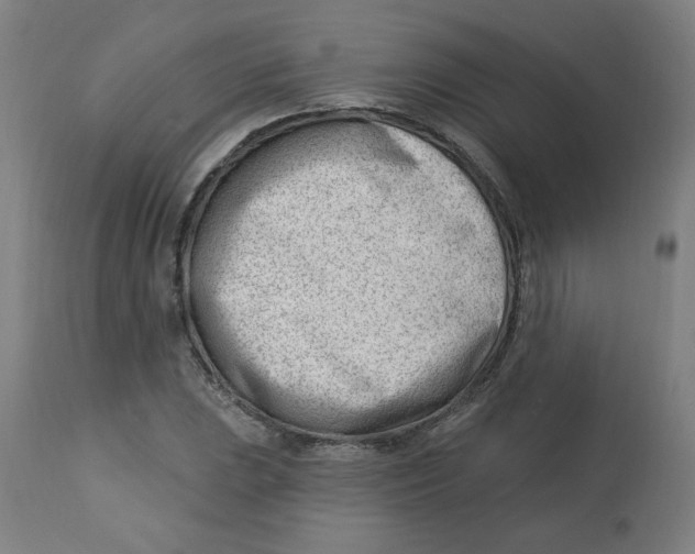 X0000112741023200909171156