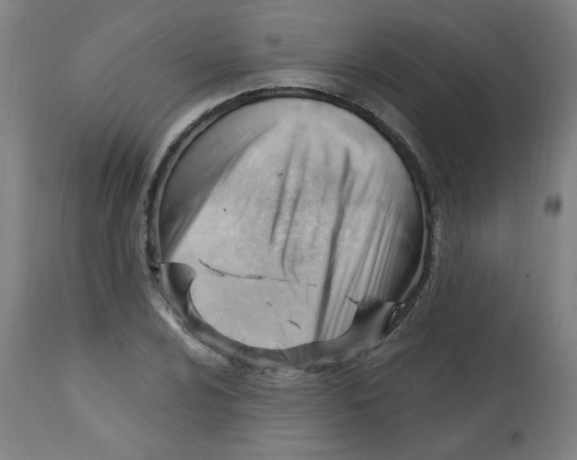 X0000112741024200909171156