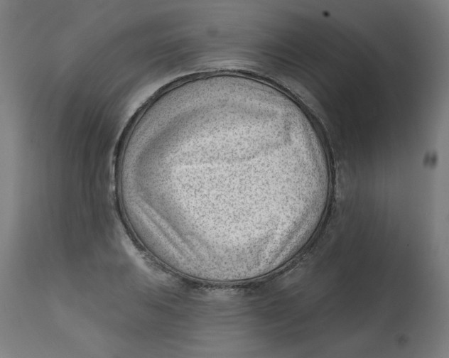 X0000112741031200909171156