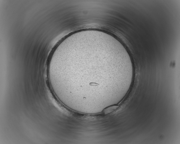 X0000112741034200909171156