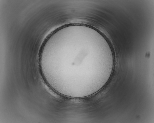 X0000112741037200909171156