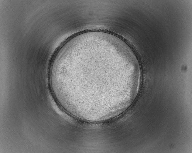 X0000112741038200909171156