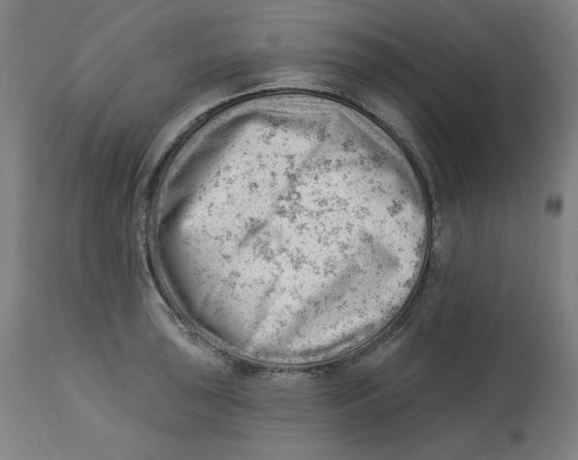 X0000112741043200909171156