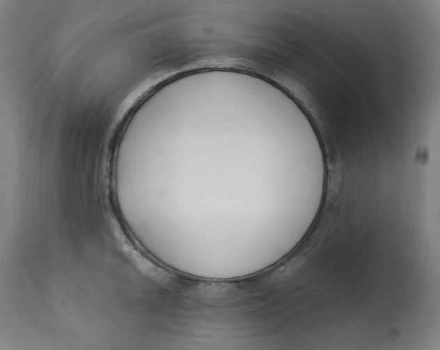 X0000112741046200909171156