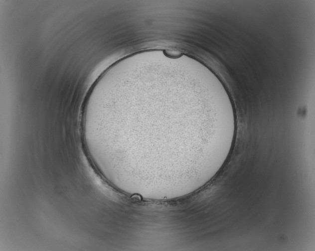 X0000112741050200909171156