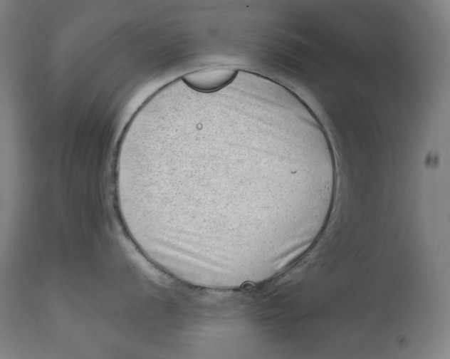 X0000112741056200909171157