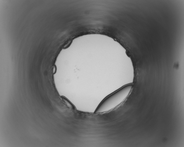 X0000112741057200909171156