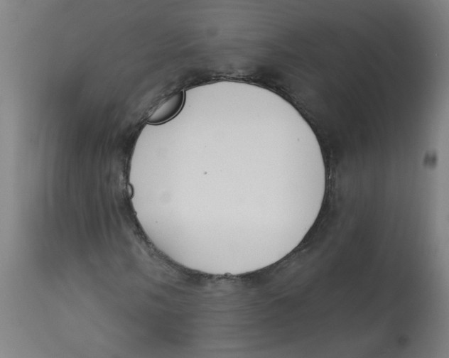 X0000112741058200909171156