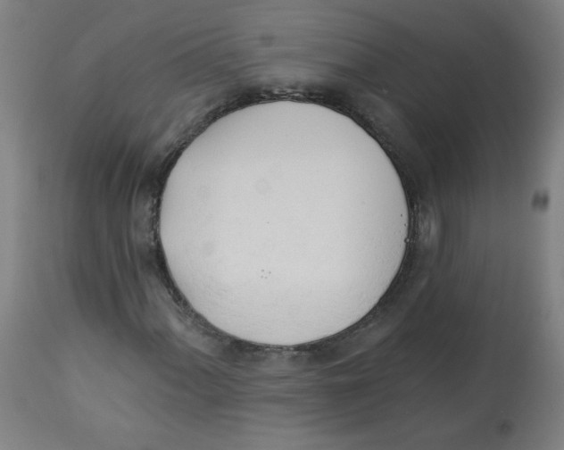 X0000112741060200909171156