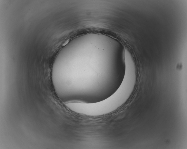 X0000112741061200909171156