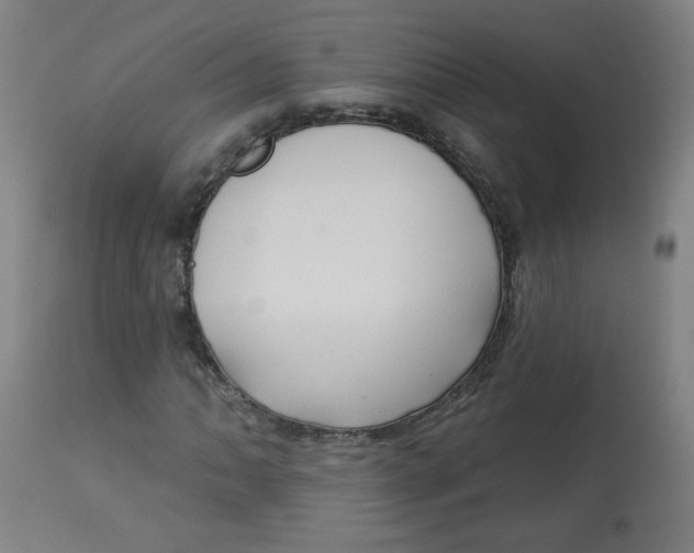 X0000112741062200909171156