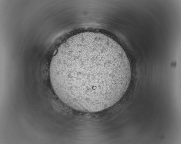 X0000112741063200909171156