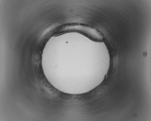 X0000112741064200909171156