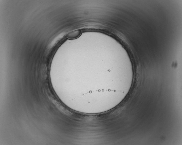 X0000112741067200909171156