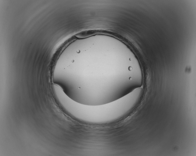 X0000112741069200909171156