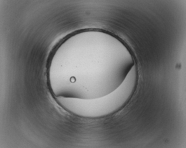 X0000112741072200909171156