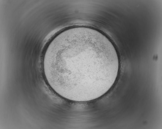 X0000112741074200909171156