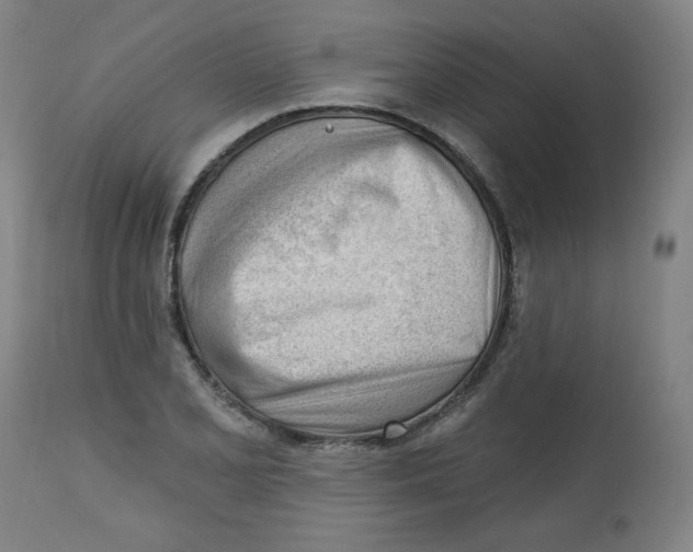 X0000112741077200909171156