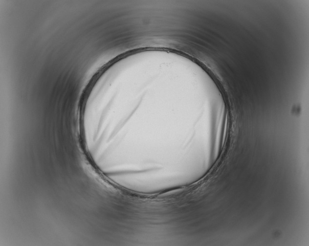 X0000112741080200909171156