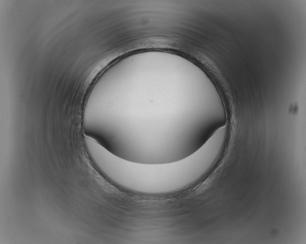 X0000112741081200909171156