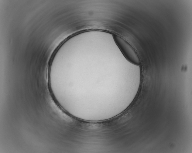 X0000112741084200909171156