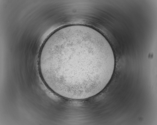 X0000112741086200909171155