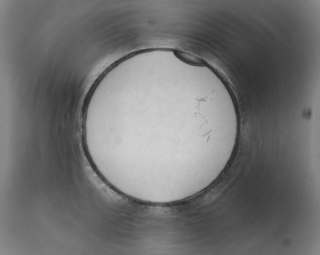 X0000112741088200909171155