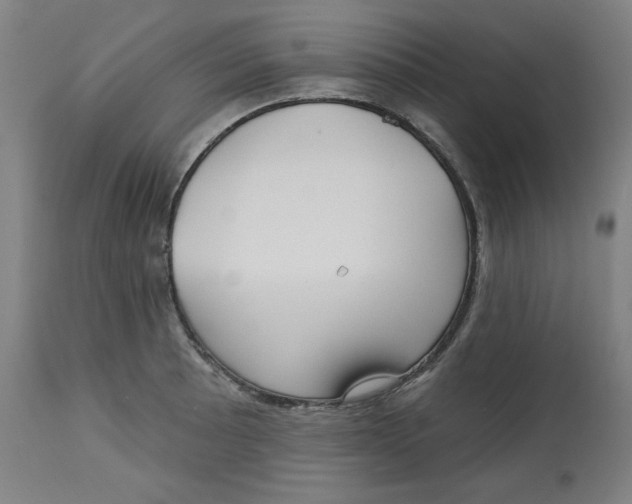 X0000112741089200909171155