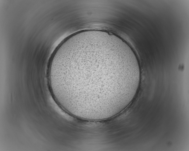 X0000112741091200909171155