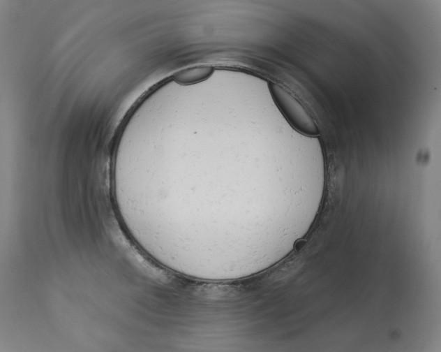 X0000112741092200909171155