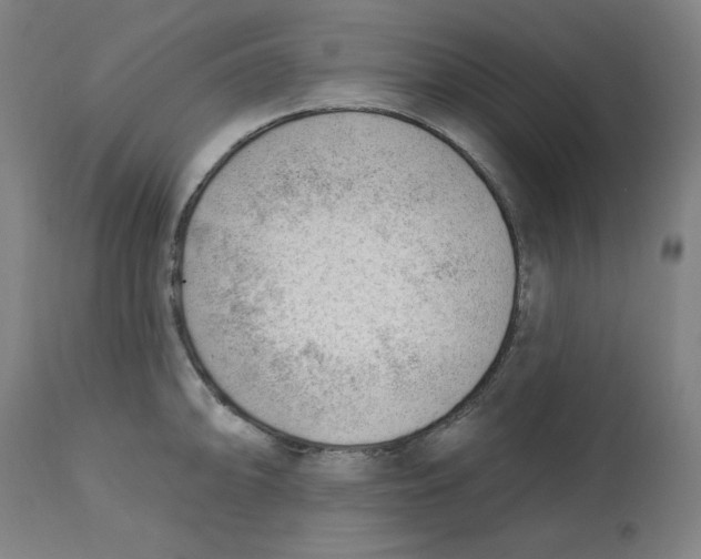 X0000112741094200909171155