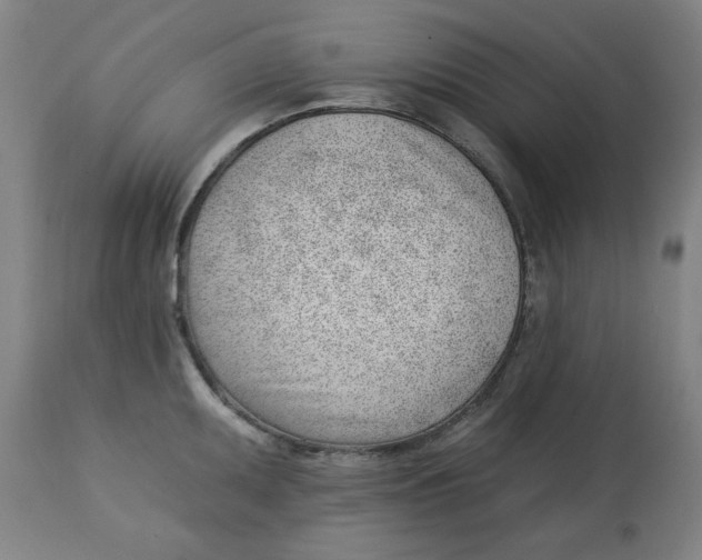 X0000112741095200909171155