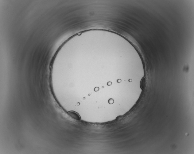 X0000112741096200909171155