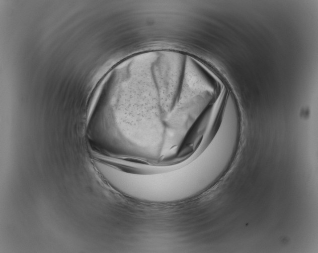 X0000112741097200909171155