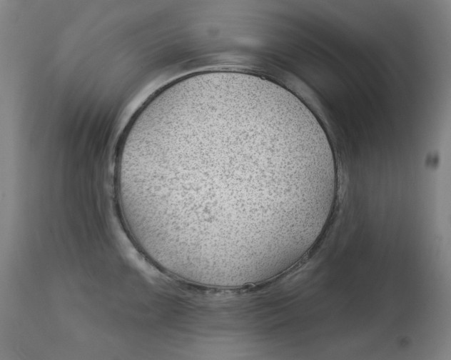 X0000112741099200909171155