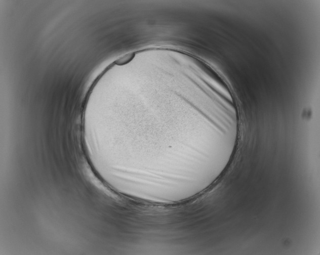 X0000112741100200909171155