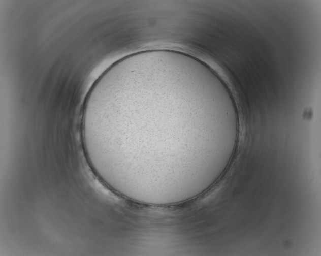 X0000112741102200909171155