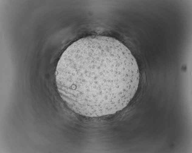 X0000112741105200909171155