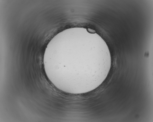 X0000112741108200909171155