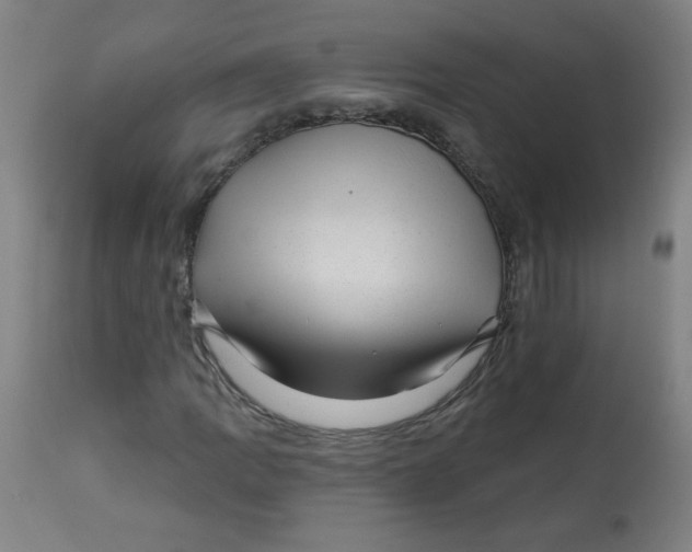 X0000112741109200909171155