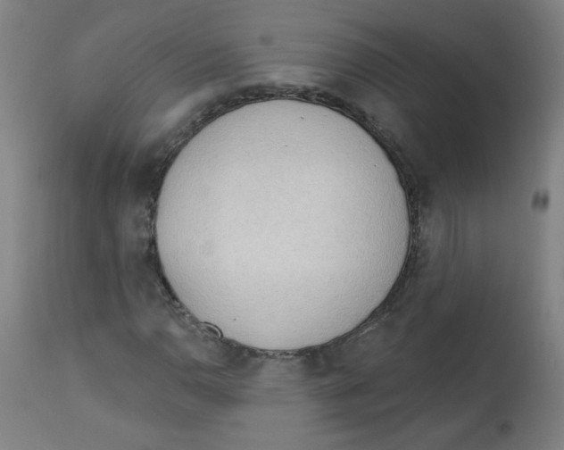 X0000112741110200909171155