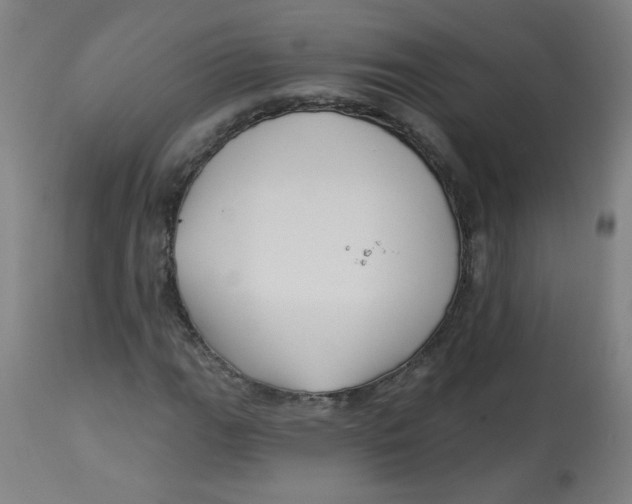 X0000112741111200909171155