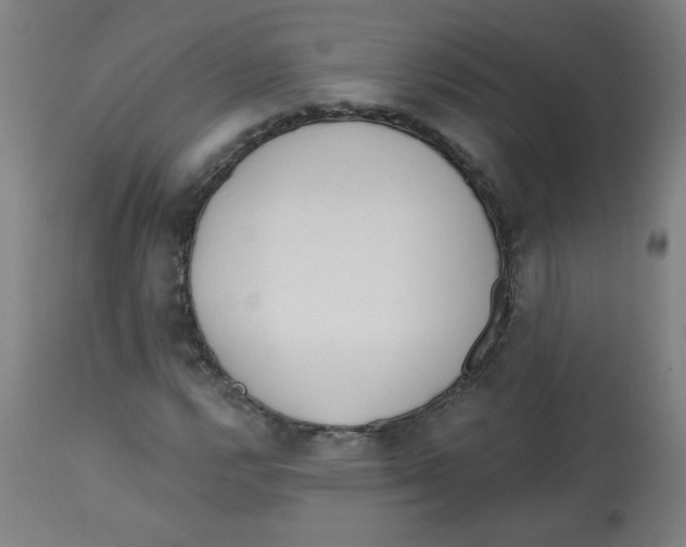 X0000112741112200909171155