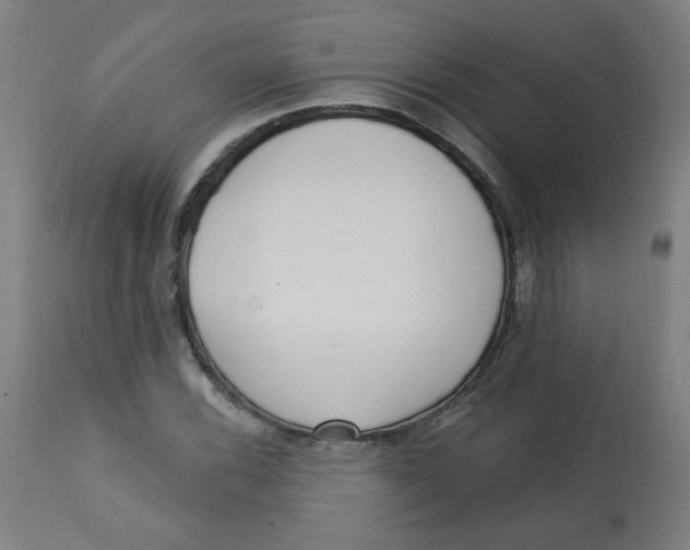 X0000112741116200909171155