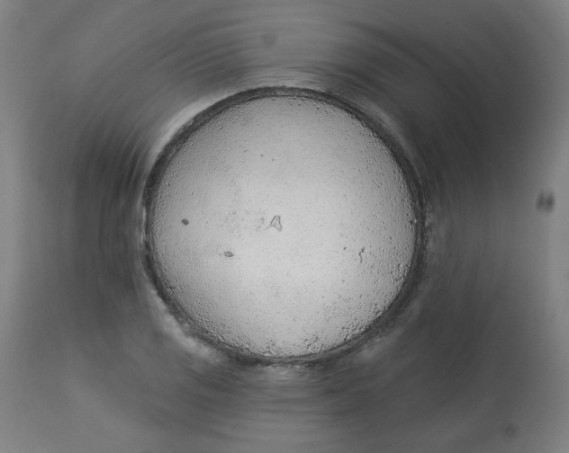 X0000112741125200909171155