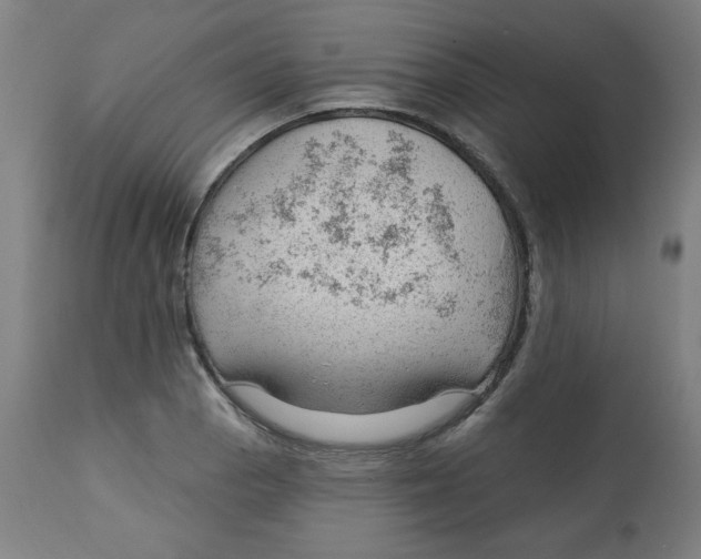 X0000112741129200909171155