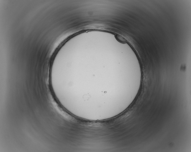 X0000112741131200909171155