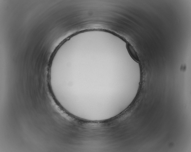 X0000112741134200909171155