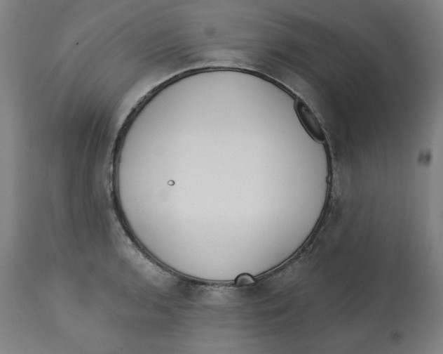 X0000112741136200909171155